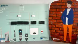 D113 (2021 – 2022)